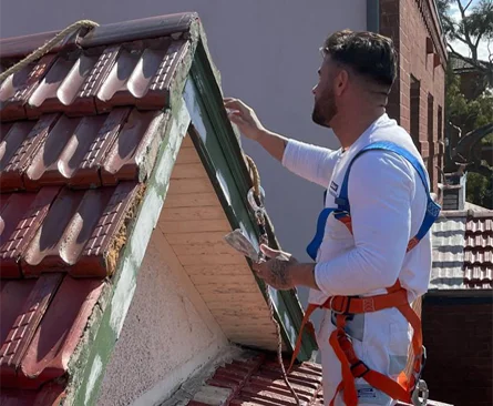 Roof Painting